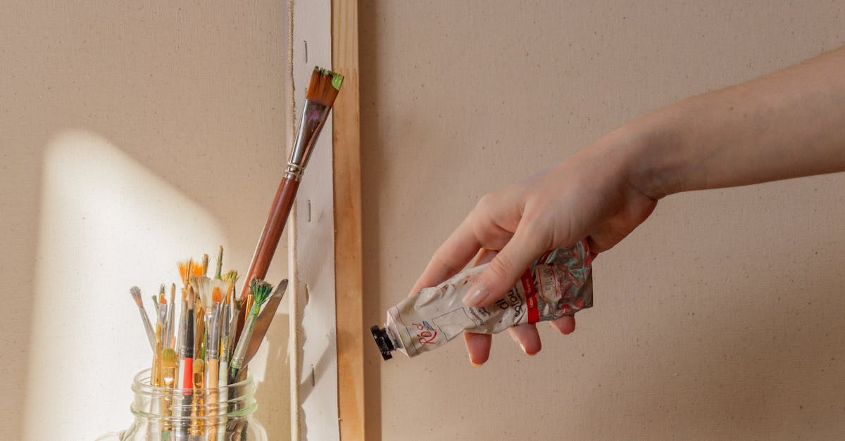 Seasonal Trends in Mural Design by Brisbane Artists