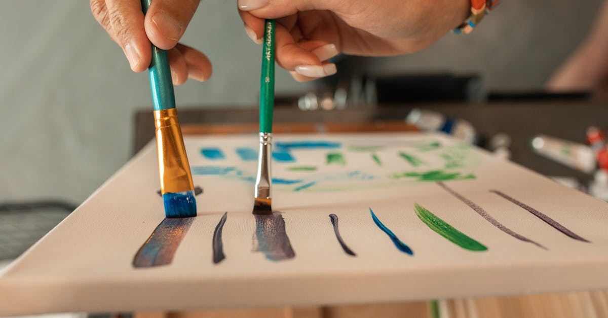 The Role of Mural Art in Brisbane’s Cultural Identity