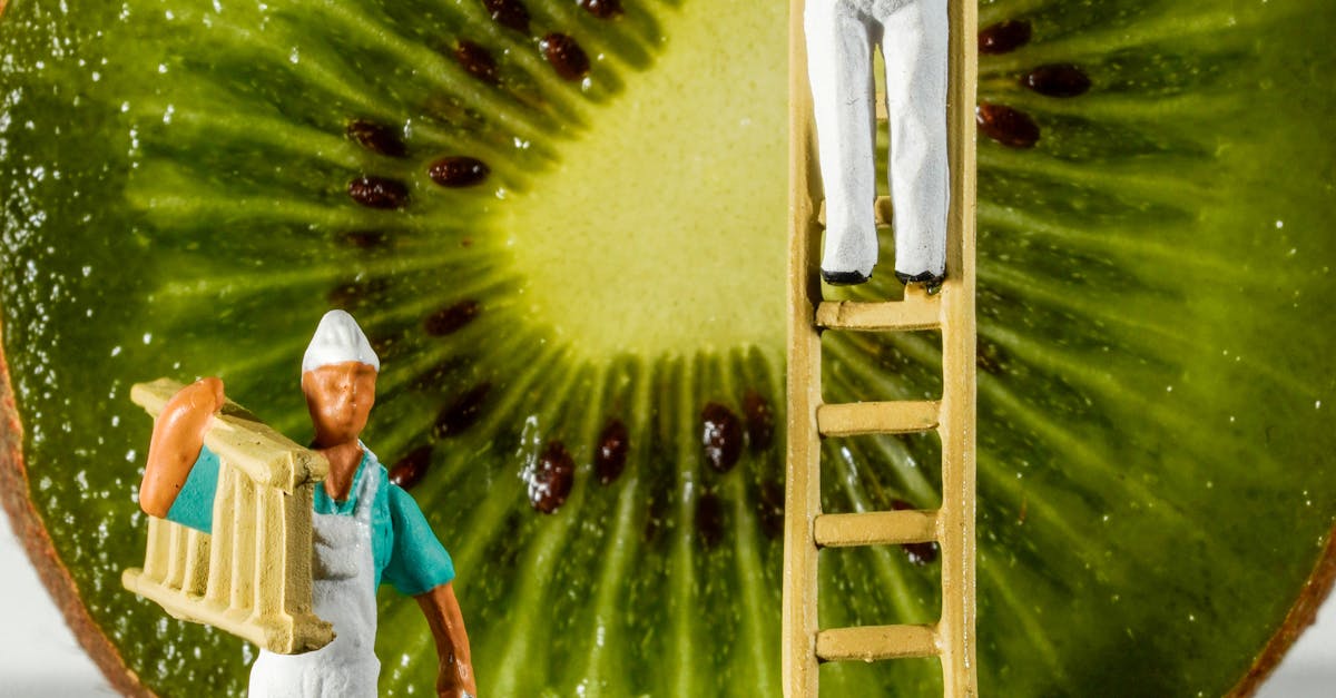 Tips for DIY Exterior Painting in Brisbane